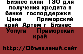 Бизнес-план, ТЭО для получения кредита в банке, господдержки › Цена ­ 1 - Приморский край, Артем г. Бизнес » Услуги   . Приморский край